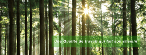 Pro-Tec-Arbres-Québec-votre-garantie-d'une-satisfaction-assurée